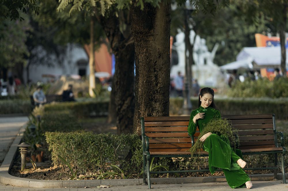 Vietnamese lady