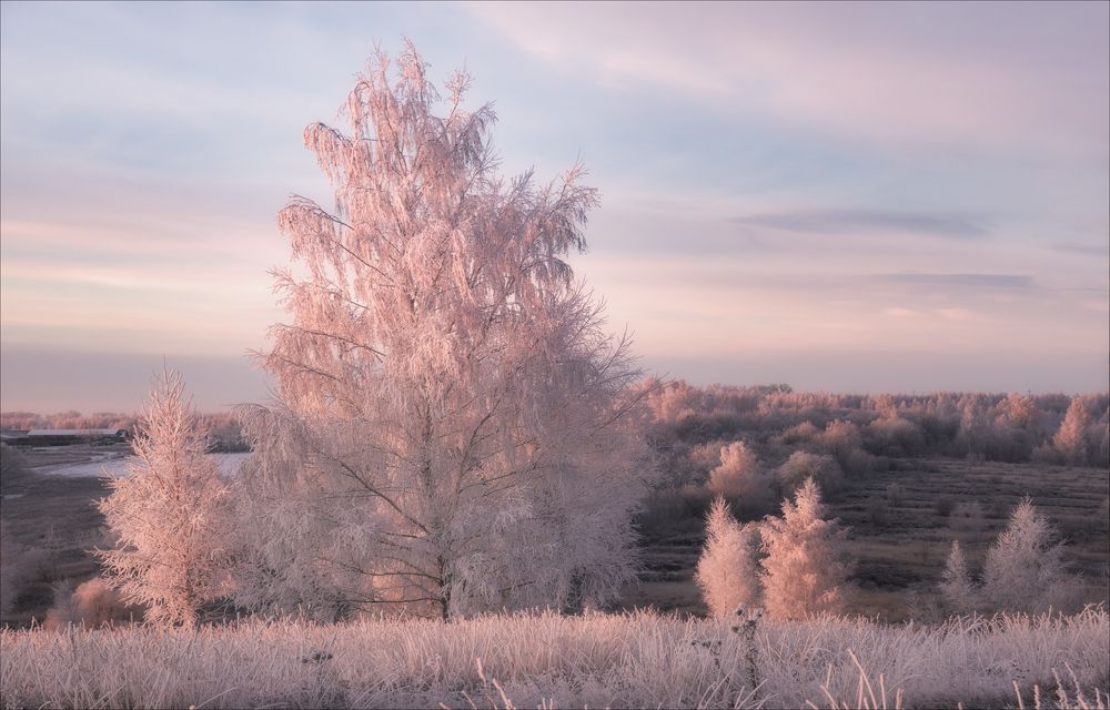 Закат в цветах фламинго.