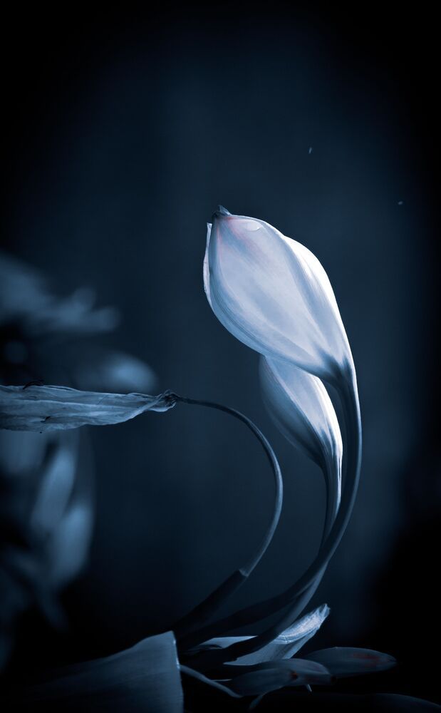 Naturaleza Peque&ntilde;a