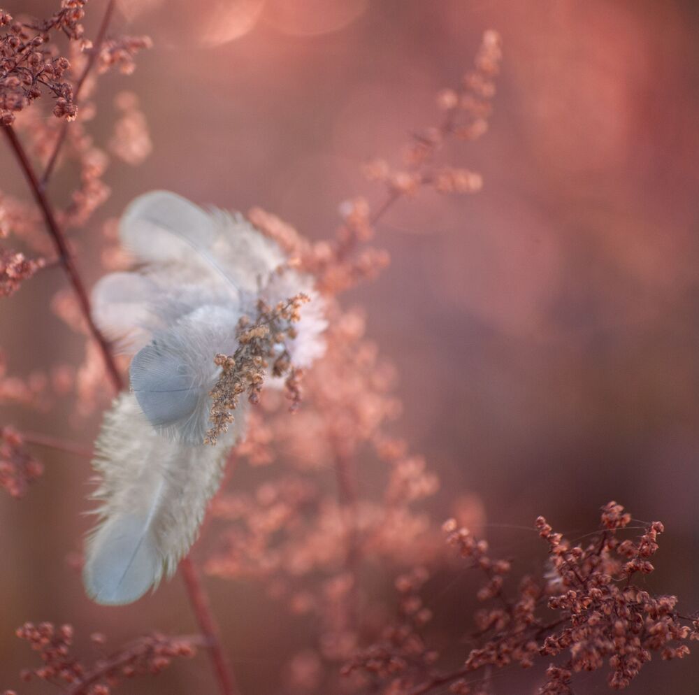 Naturaleza Peque&ntilde;a