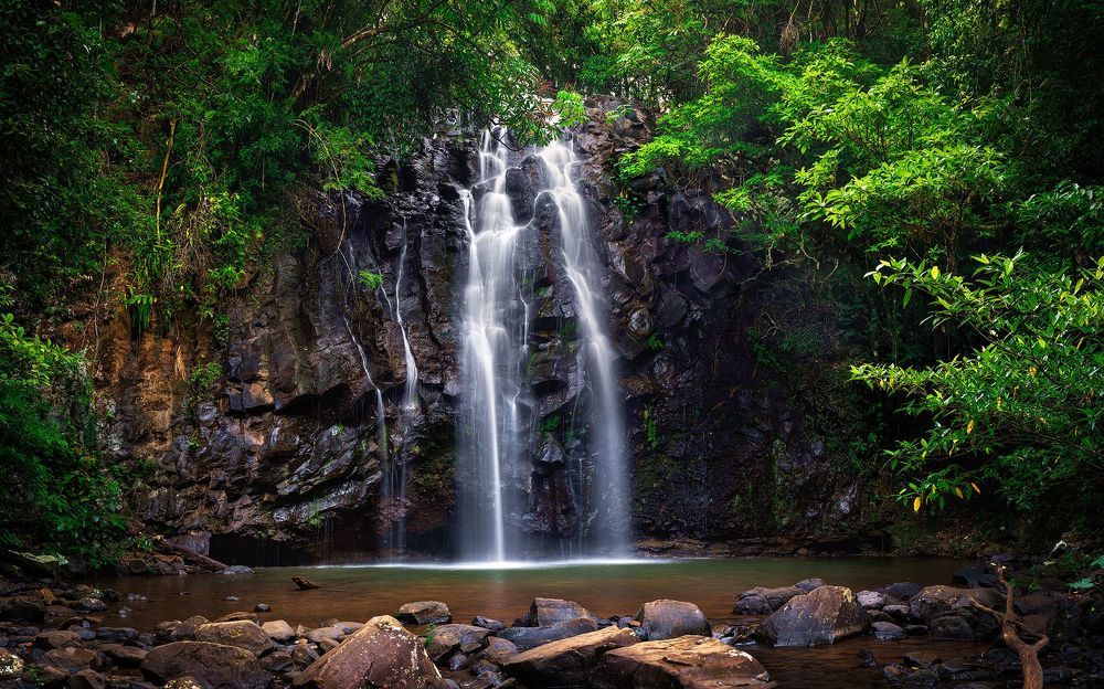 Photographer from Cairns, Queensland, Australia (Shamrock Space Studio)