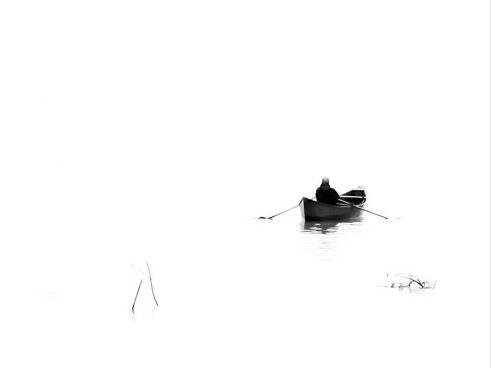 Photo 2331332