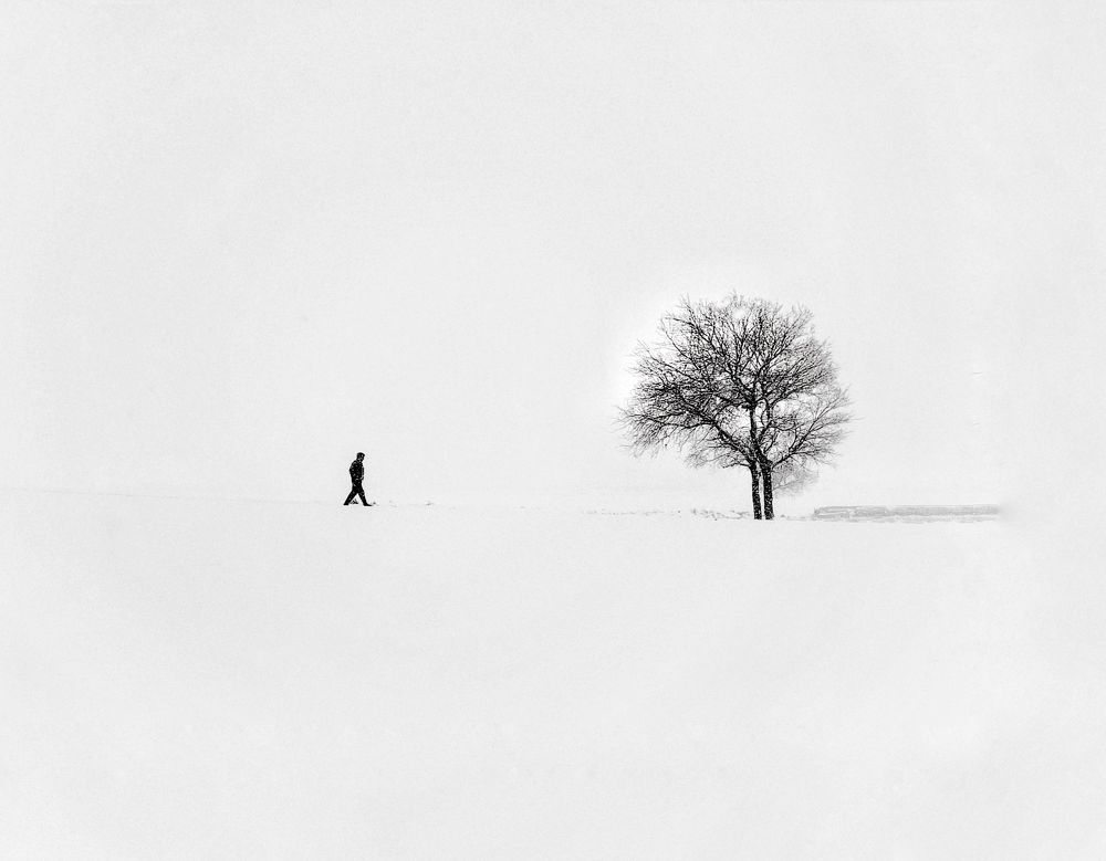 Photo 2331335