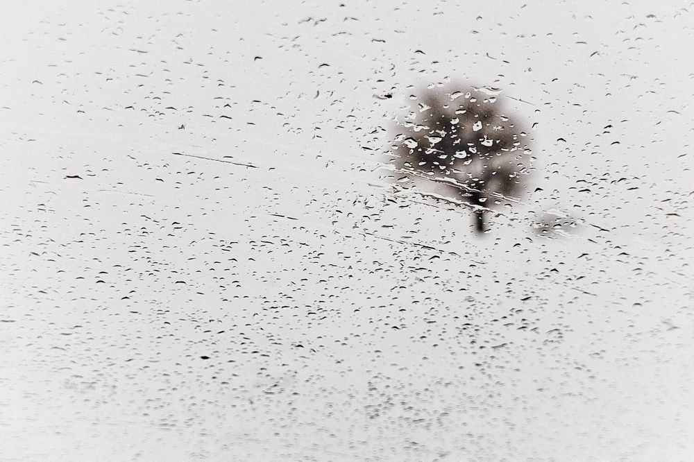 Photo 2331336