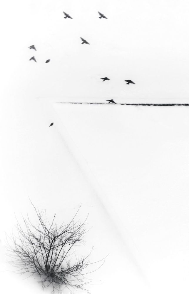 Photo 2331338