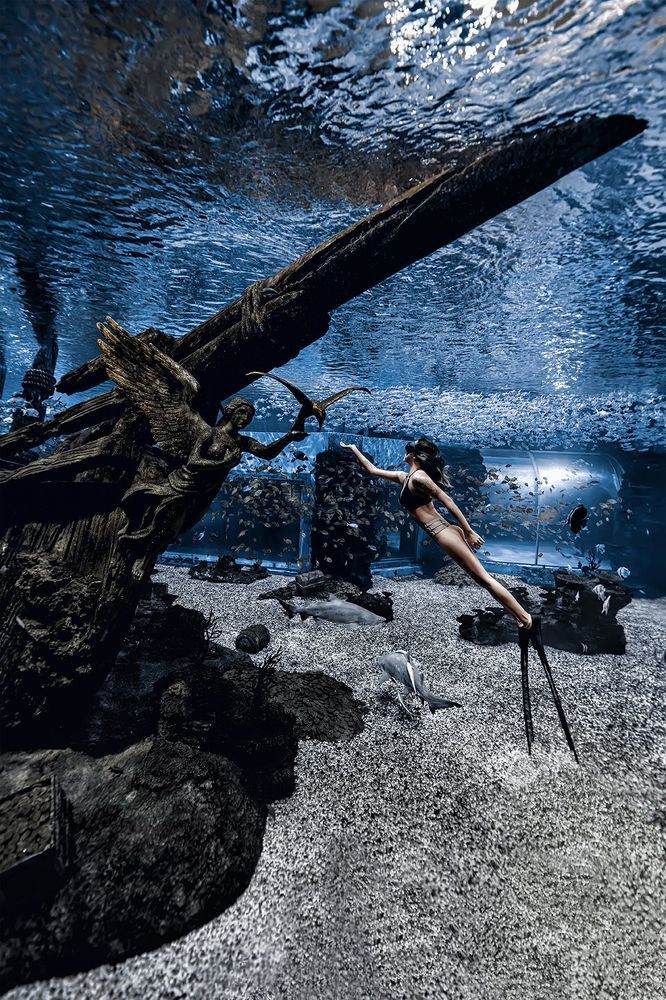 Underwater photography