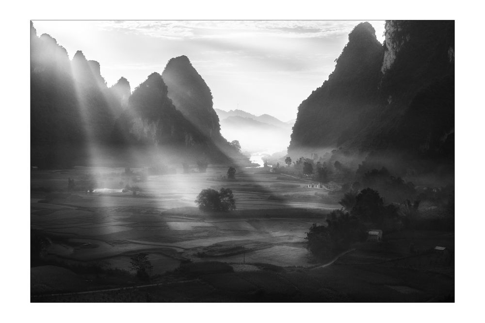 Rice & Icon of Vietnam