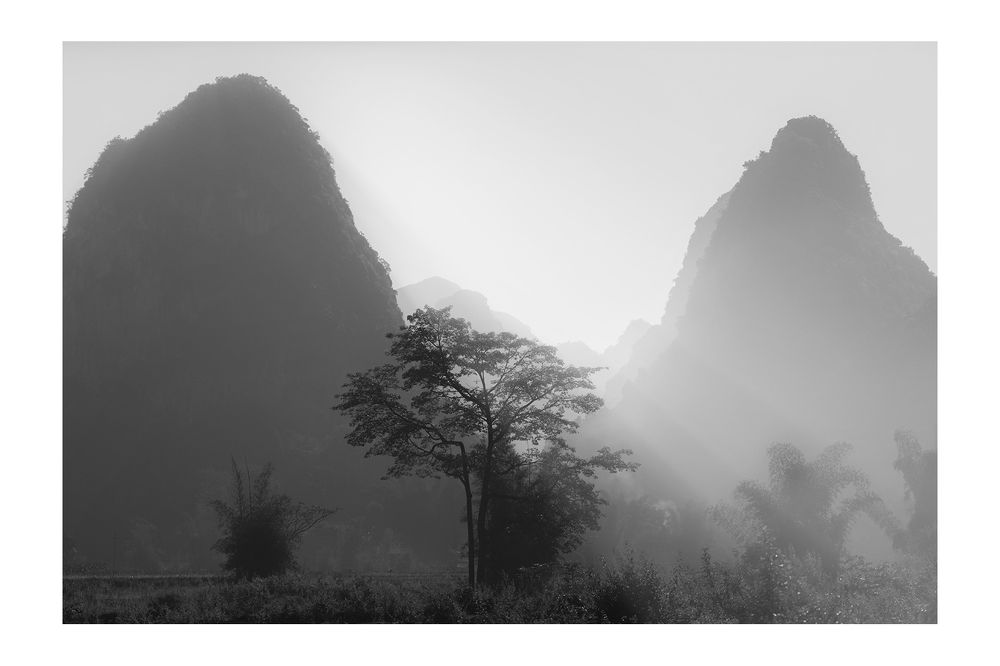Rice & Icon of Vietnam