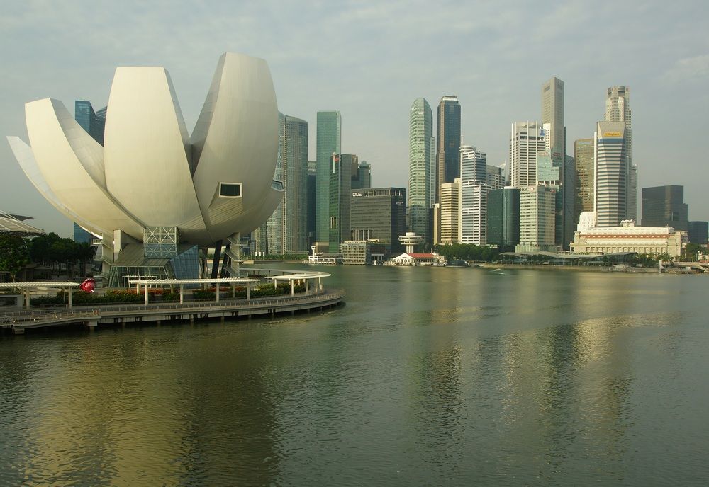 Morning in the metropolis