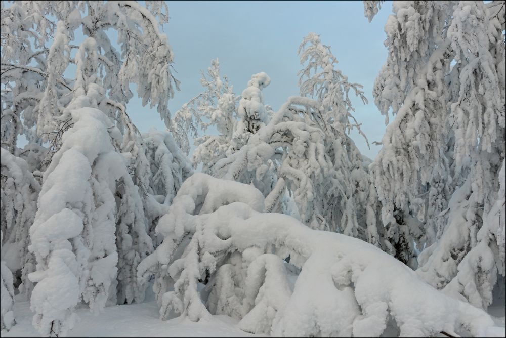 Лёгкое утреннее просветление