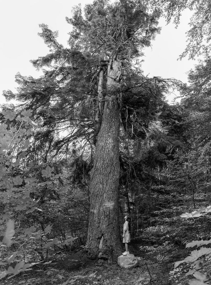 Photo 2339615
