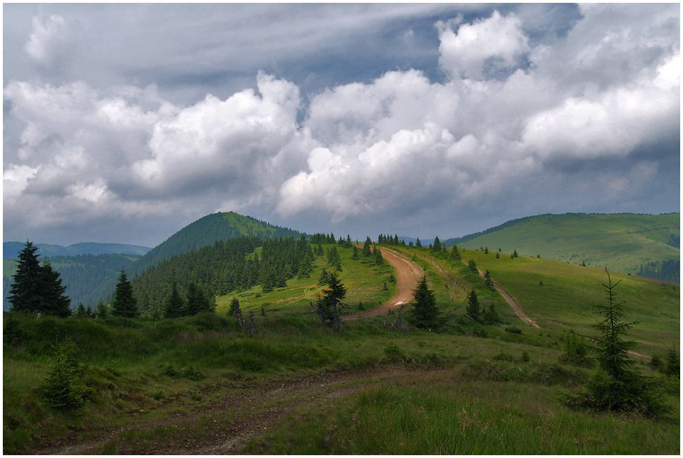 Карпаты, г. Стог