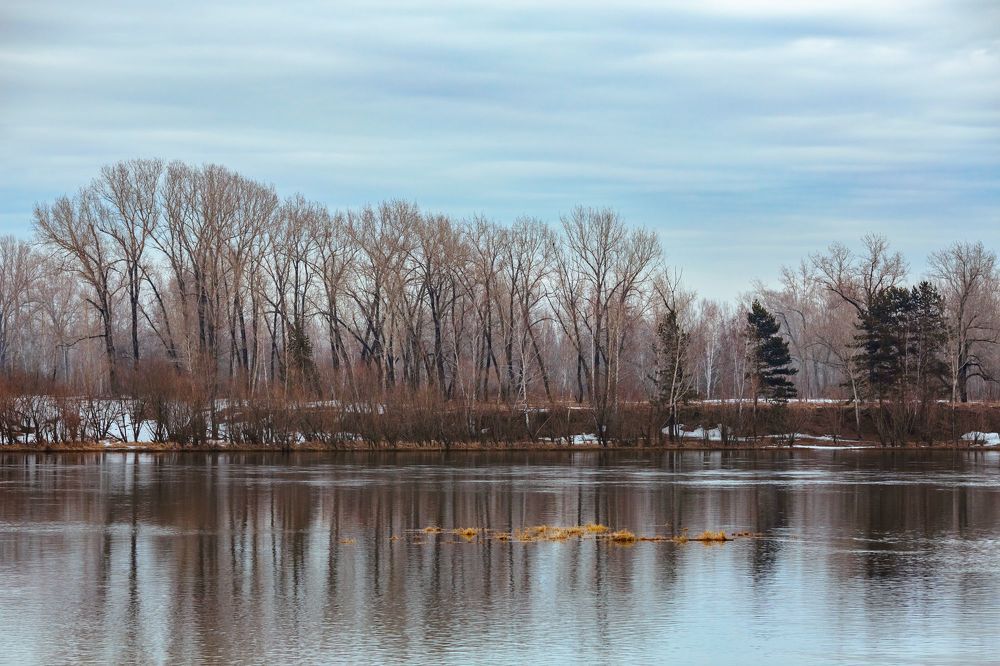 Photo 2343334