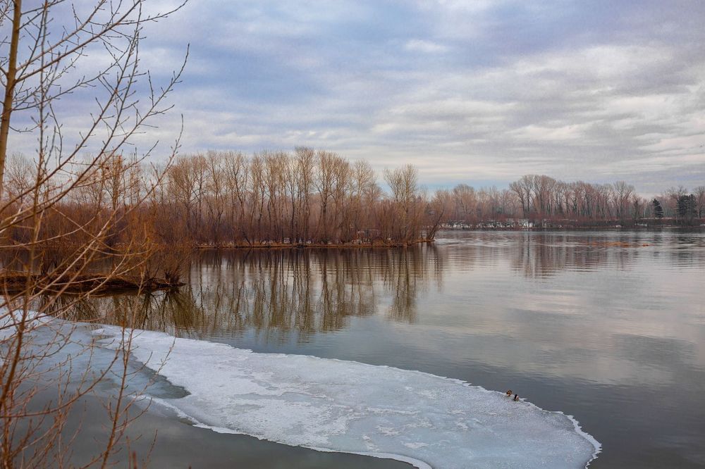 Photo 2343335