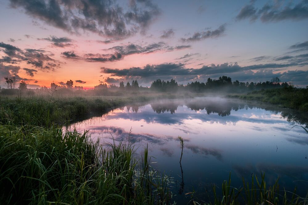 Photo 2344508