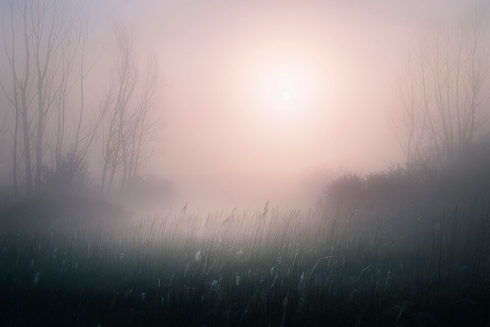 Photo 2344512