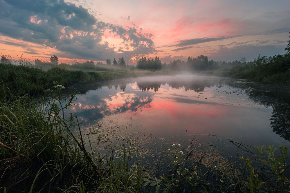 Photo 2344515