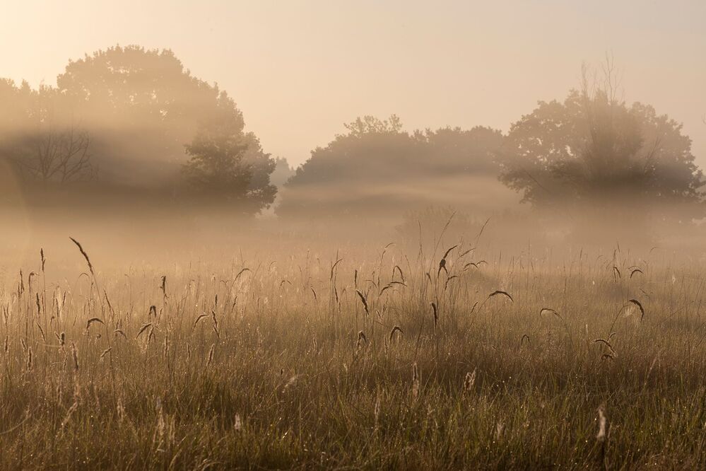 Photo 2344516