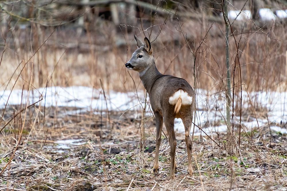 Photo 2344613