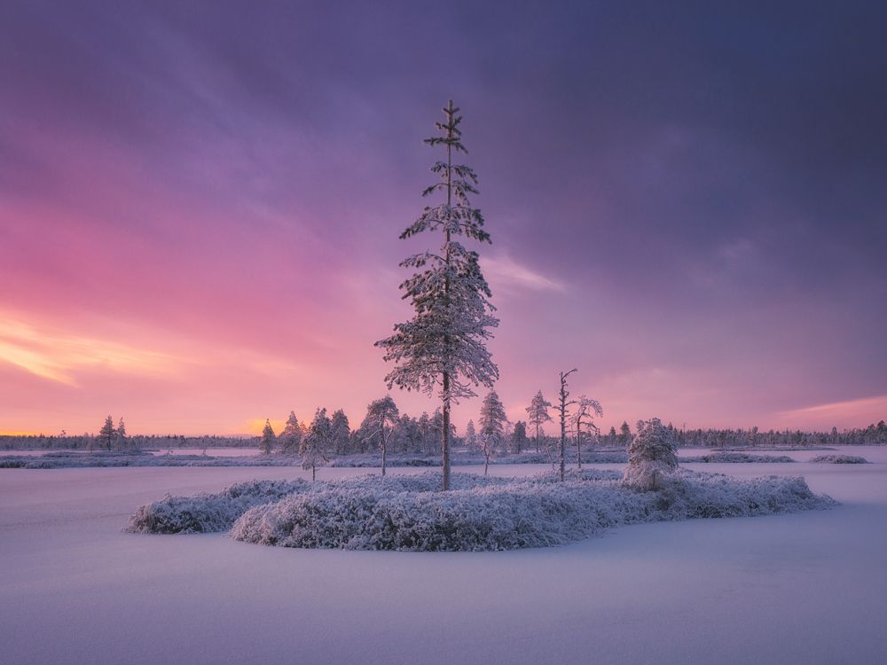 Ванильное небо Карелии