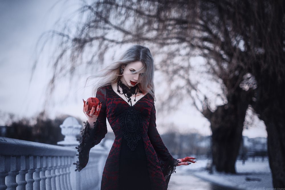Feeding The Dark