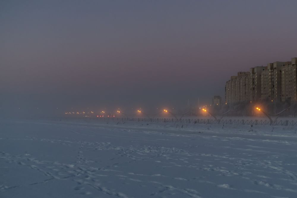 Winter Fog