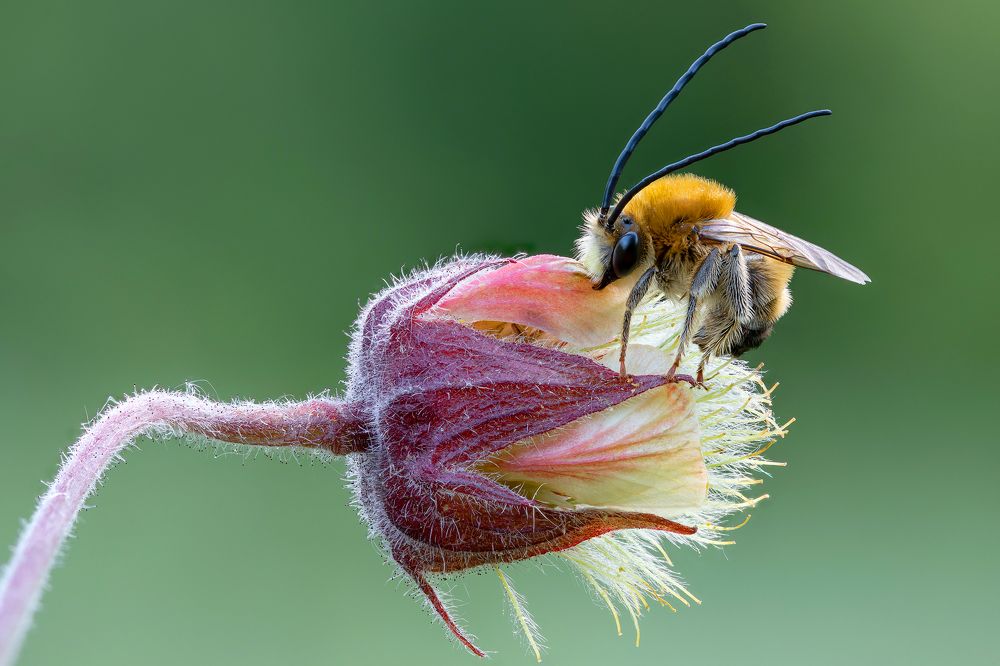 Photo 2347509