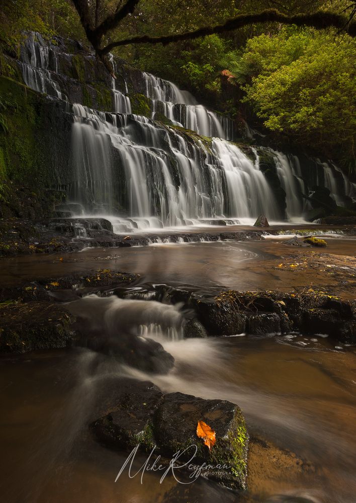 Purakaunui Falls. Purakaunui River, Catlins, South Island, New Zealand