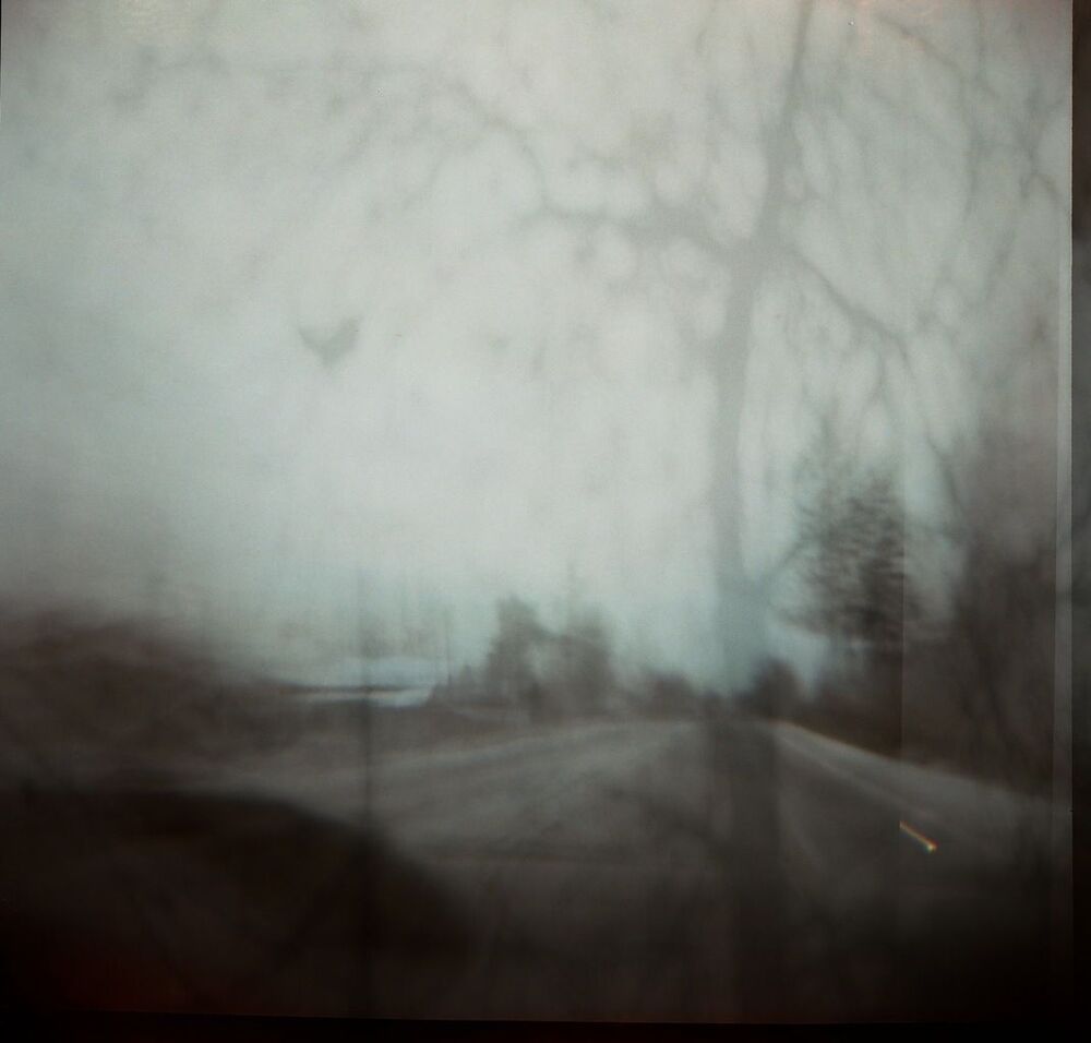 Photo 235086