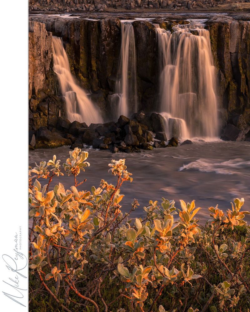 Selfoss. Jökulsá á Fjöllum river, Jökulsárgljúfur canyon, Vatnajökull National Park, Iceland