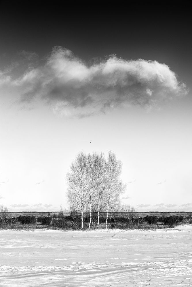 Photo 2351589