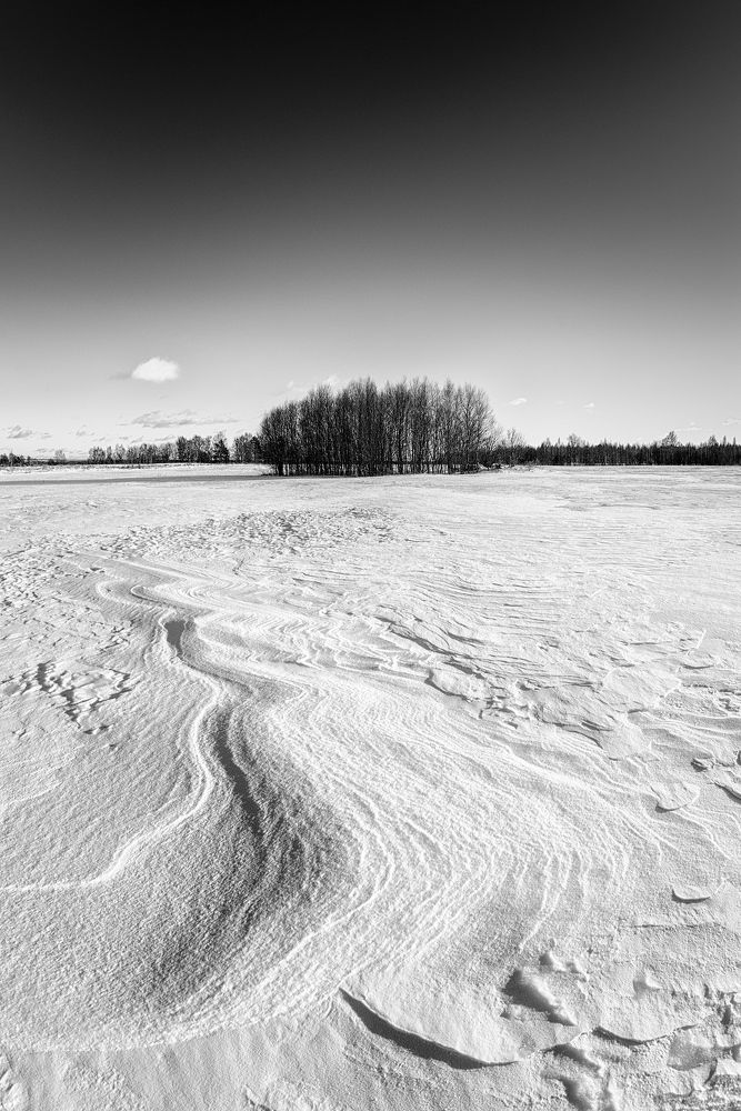 Photo 2351590