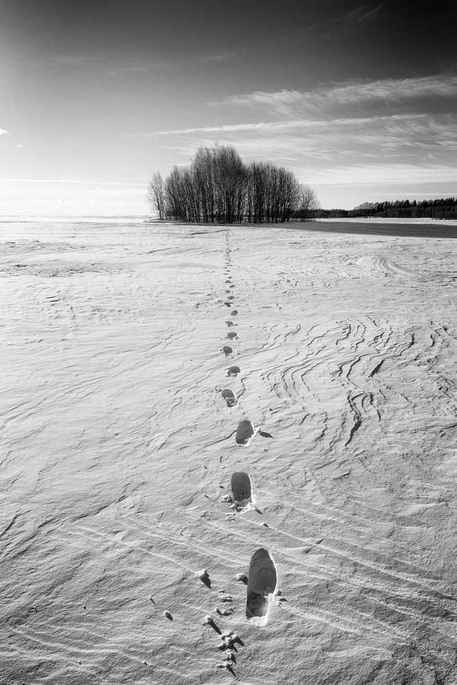 Photo 2351591