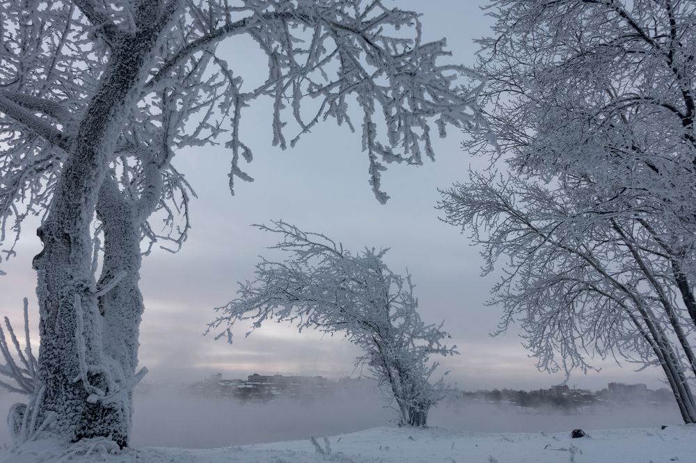-40