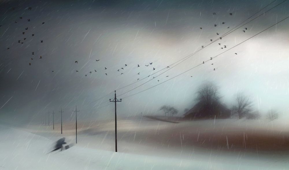 Photo 2353300