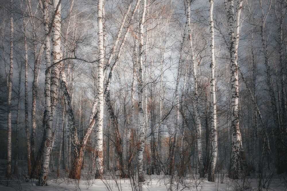 Photo 2354058
