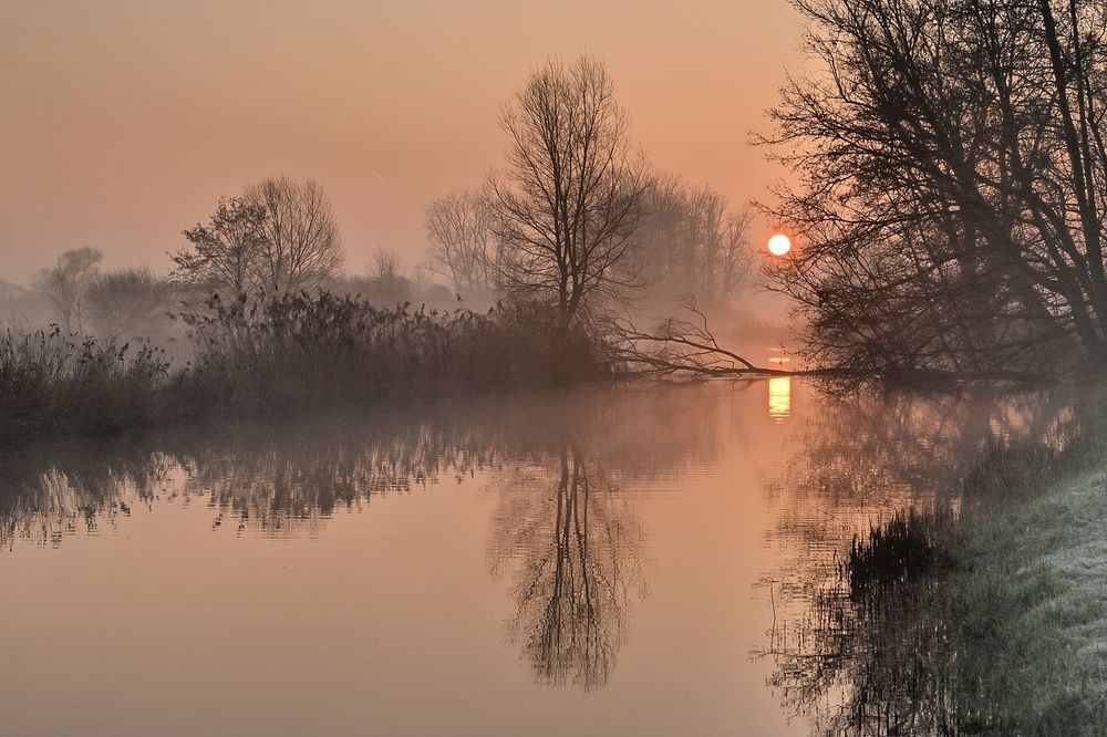 Golden morning.