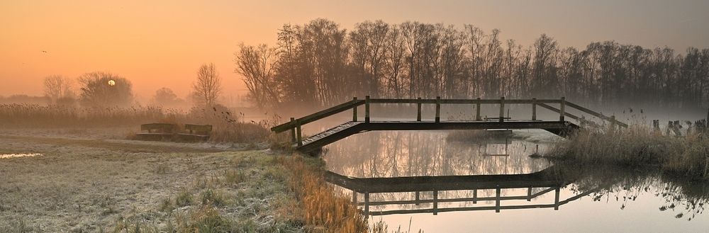 Golden morning.