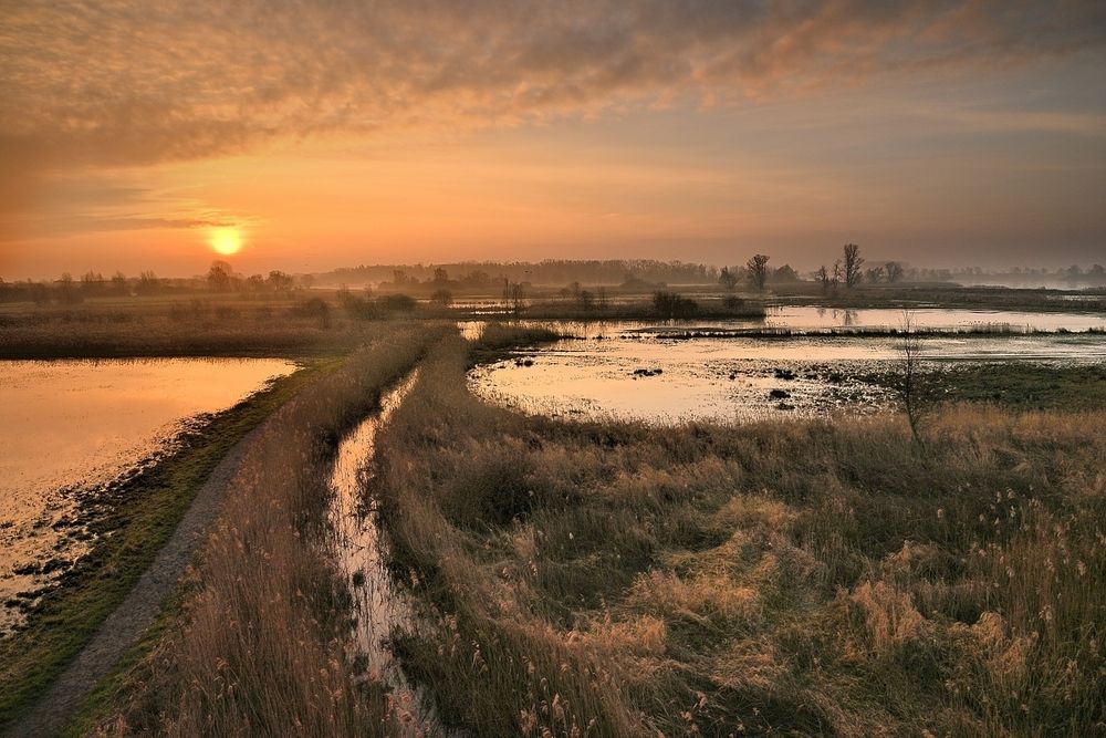 Golden morning.