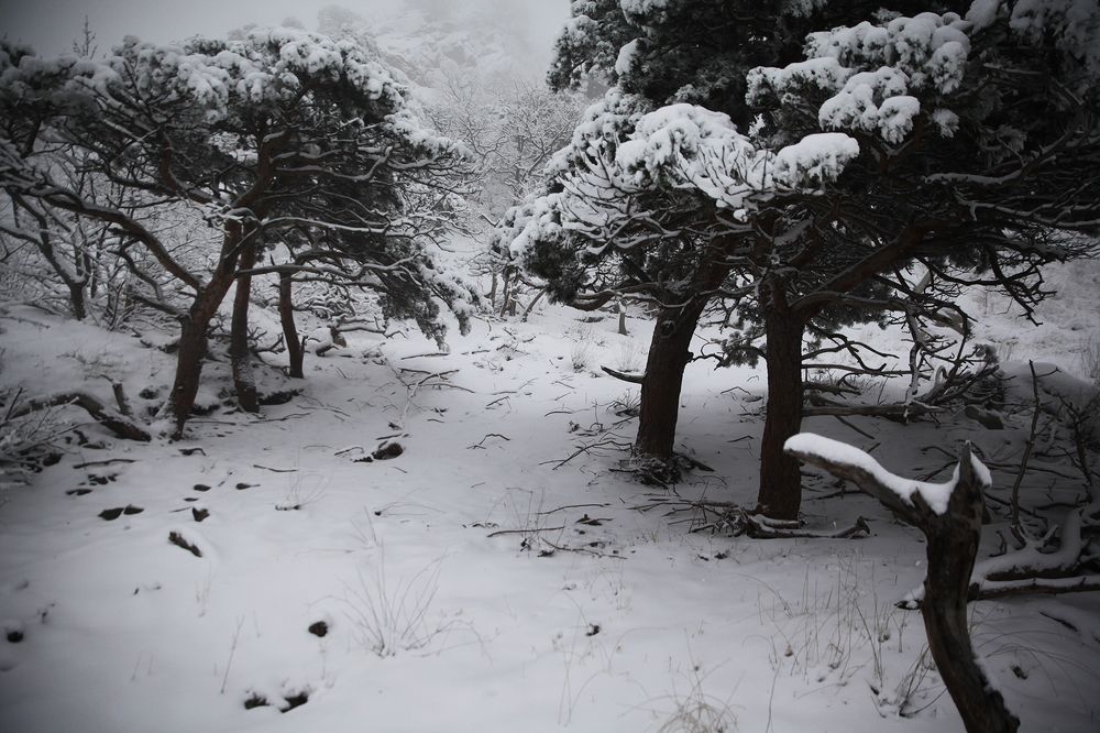 Зимние зарисовки..