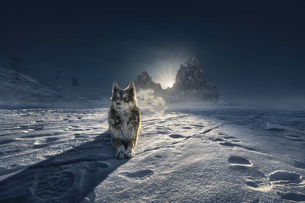 Photo 2356444