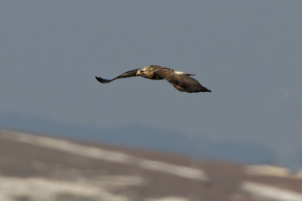 Photo 2356888