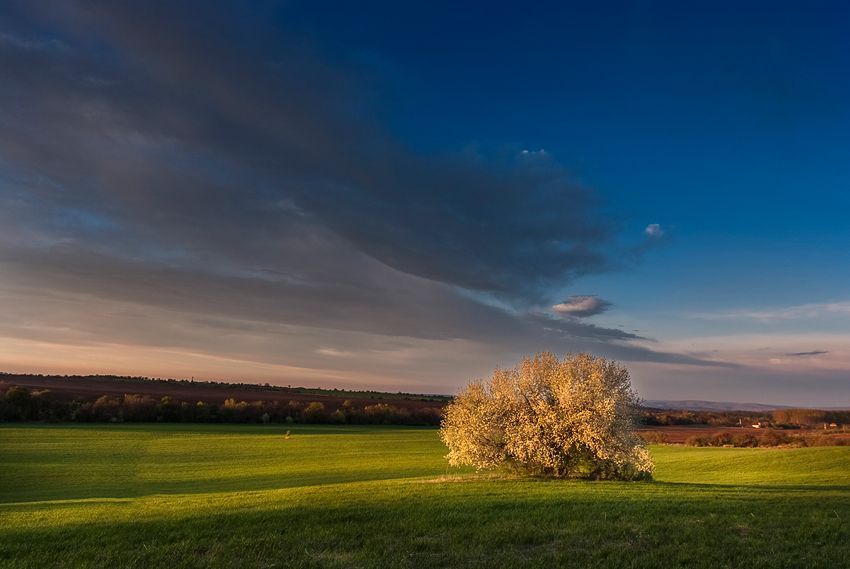 "still smells of color, it smells like spring," Damian Damyanov