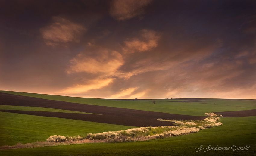 Last ray of light II