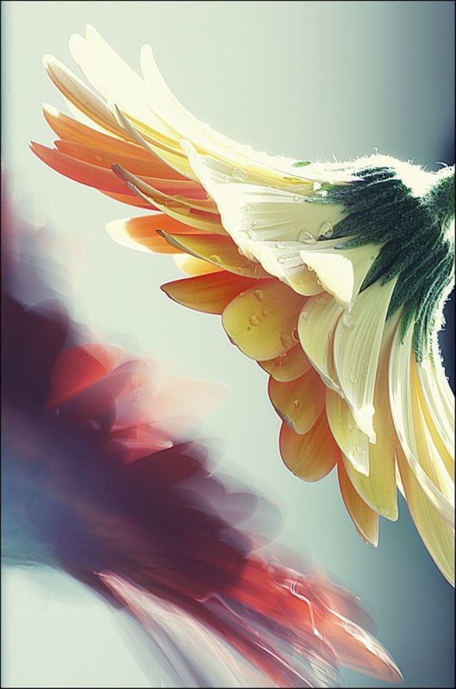 springtime