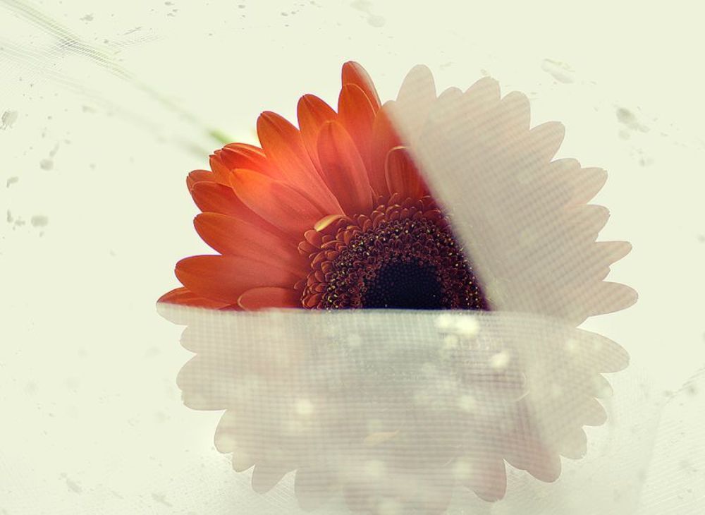 springtime