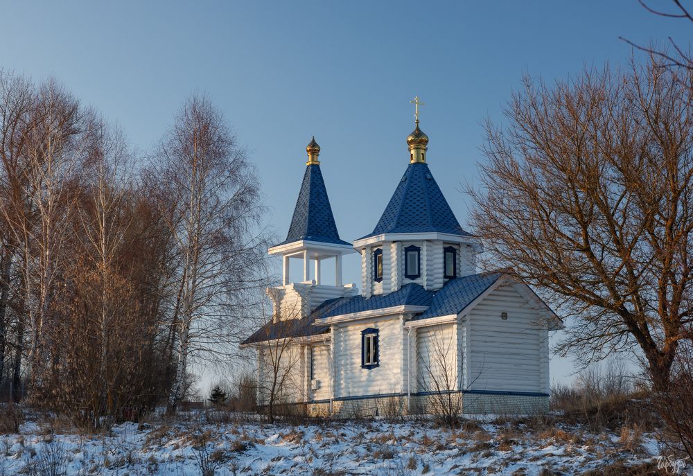Церковь Троицы Живоначальной. Тульская область, Красногорье.
