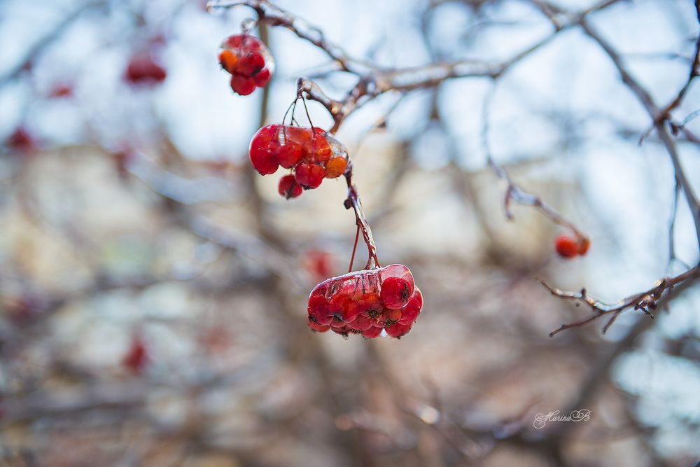 Природа в хрустале (часть 4)