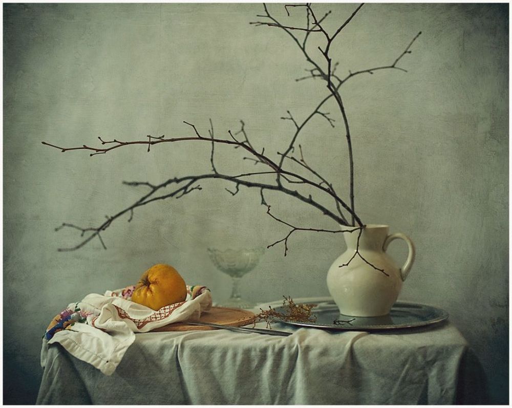 Photo 237976
