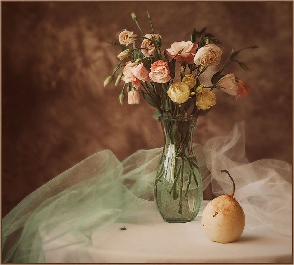 Photo 237982